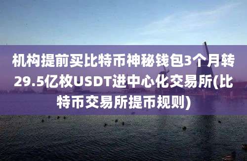 机构提前买比特币神秘钱包3个月转29.5亿枚USDT进中心化交易所(比特币交易所提币规则)