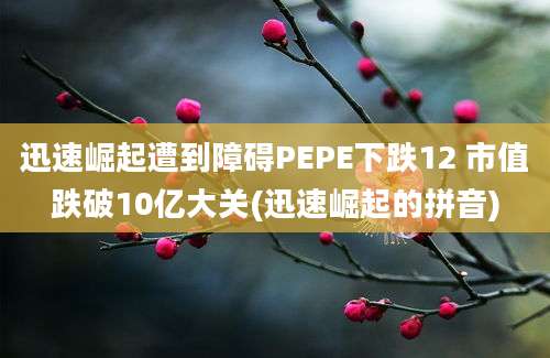 迅速崛起遭到障碍PEPE下跌12 市值跌破10亿大关(迅速崛起的拼音)