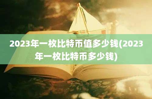 2023年一枚比特币值多少钱(2023年一枚比特币多少钱)