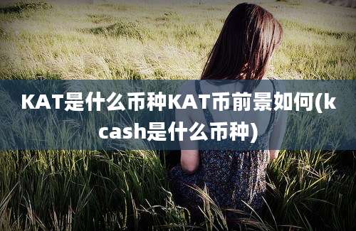 KAT是什么币种KAT币前景如何(kcash是什么币种)