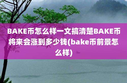 BAKE币怎么样一文搞清楚BAKE币将来会涨到多少钱(bake币前景怎么样)