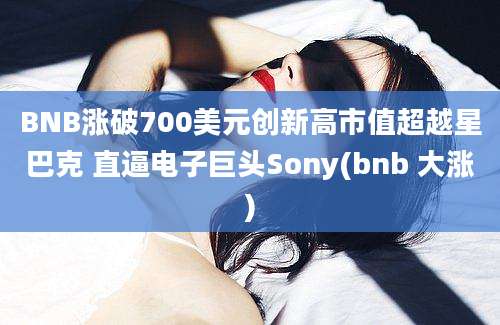 BNB涨破700美元创新高市值超越星巴克 直逼电子巨头Sony(bnb 大涨)