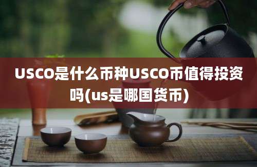 USCO是什么币种USCO币值得投资吗(us是哪国货币)