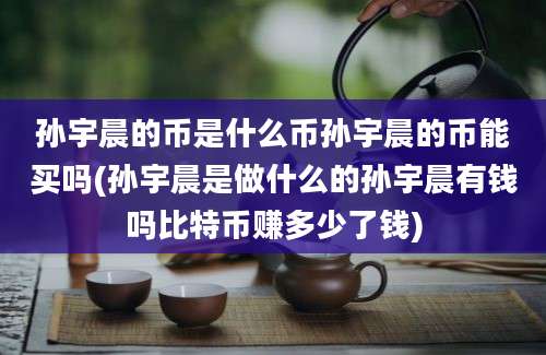 孙宇晨的币是什么币孙宇晨的币能买吗(孙宇晨是做什么的孙宇晨有钱吗比特币赚多少了钱)