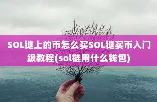 SOL链上的币怎么买SOL链买币入门级教程(sol链用什么钱包)