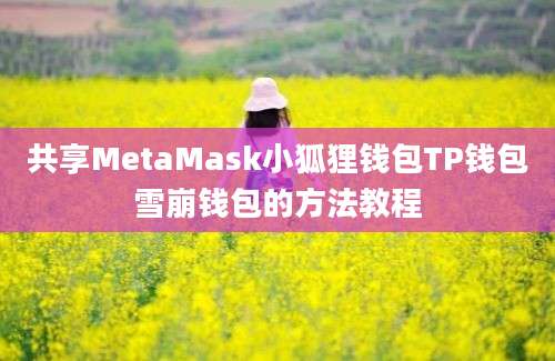 共享MetaMask小狐狸钱包TP钱包雪崩钱包的方法教程