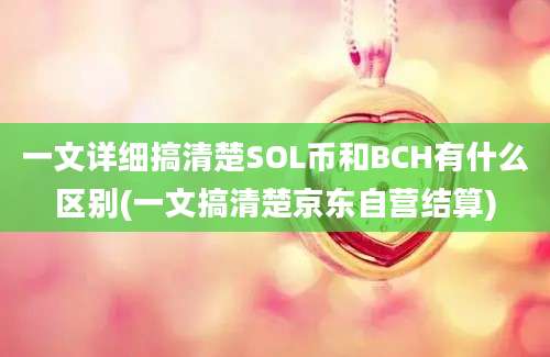 一文详细搞清楚SOL币和BCH有什么区别(一文搞清楚京东自营结算)