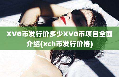 XVG币发行价多少XVG币项目全面介绍(xch币发行价格)