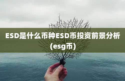 ESD是什么币种ESD币投资前景分析(esg币)