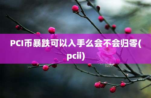 PCI币暴跌可以入手么会不会归零(pcii)