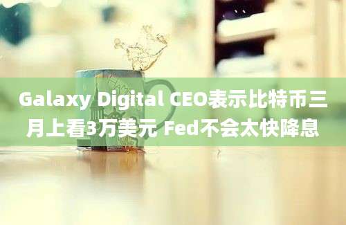 Galaxy Digital CEO表示比特币三月上看3万美元 Fed不会太快降息