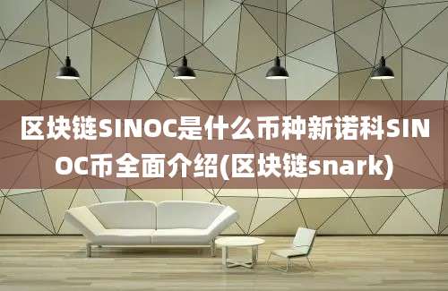 区块链SINOC是什么币种新诺科SINOC币全面介绍(区块链snark)