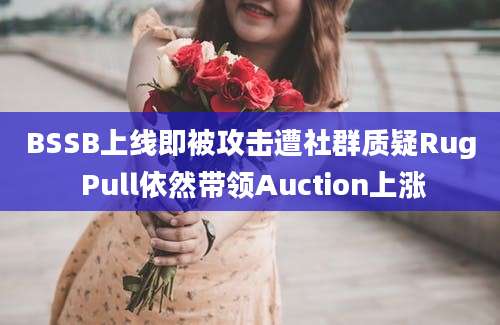 BSSB上线即被攻击遭社群质疑Rug Pull依然带领Auction上涨