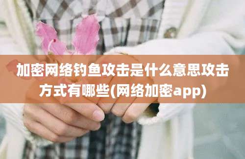 加密网络钓鱼攻击是什么意思攻击方式有哪些(网络加密app)