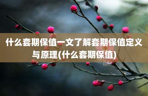 什么套期保值一文了解套期保值定义与原理(什么套期保值)