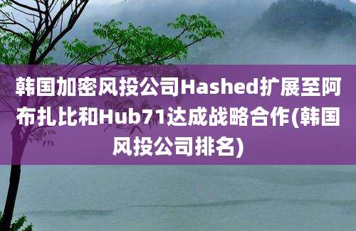 韩国加密风投公司Hashed扩展至阿布扎比和Hub71达成战略合作(韩国风投公司排名)