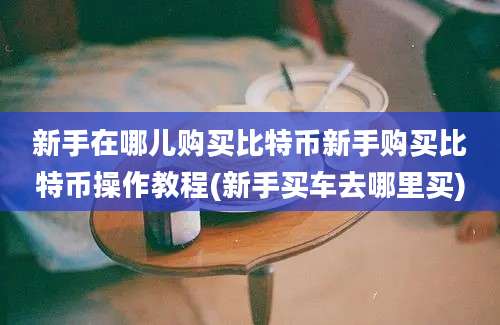 新手在哪儿购买比特币新手购买比特币操作教程(新手买车去哪里买)