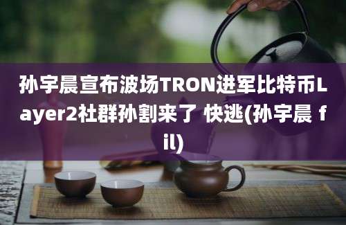 孙宇晨宣布波场TRON进军比特币Layer2社群孙割来了 快逃(孙宇晨 fil)