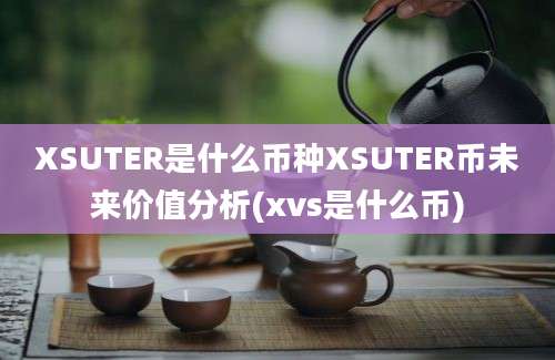 XSUTER是什么币种XSUTER币未来价值分析(xvs是什么币)