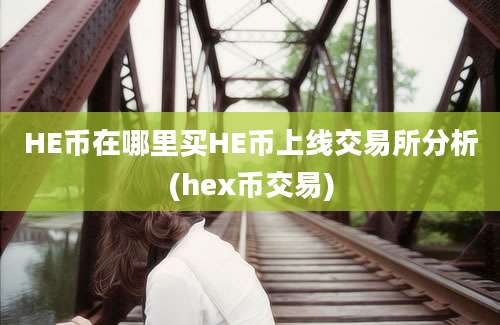 HE币在哪里买HE币上线交易所分析(hex币交易)