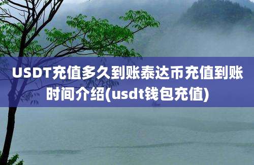 USDT充值多久到账泰达币充值到账时间介绍(usdt钱包充值)