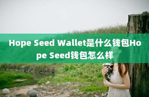 Hope Seed Wallet是什么钱包Hope Seed钱包怎么样