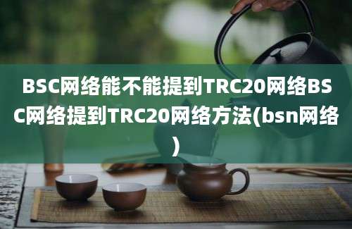 BSC网络能不能提到TRC20网络BSC网络提到TRC20网络方法(bsn网络)