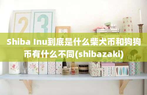 Shiba Inu到底是什么柴犬币和狗狗币有什么不同(shibazaki)