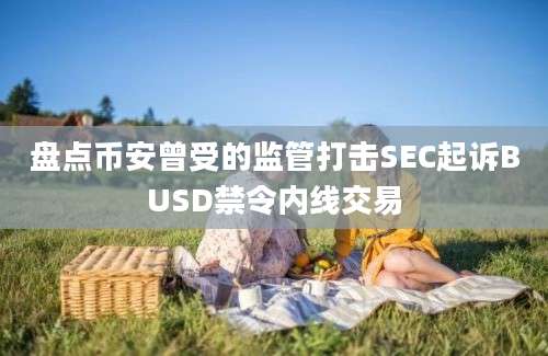 盘点币安曾受的监管打击SEC起诉BUSD禁令内线交易