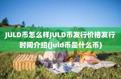 JULD币怎么样JULD币发行价格发行时间介绍(juld币是什么币)