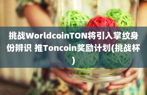 挑战WorldcoinTON将引入掌纹身份辨识 推Toncoin奖励计划(挑战杯)