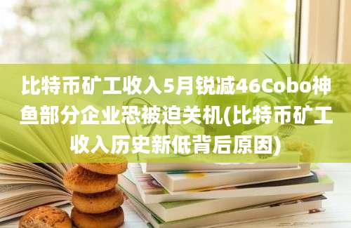 比特币矿工收入5月锐减46Cobo神鱼部分企业恐被迫关机(比特币矿工收入历史新低背后原因)