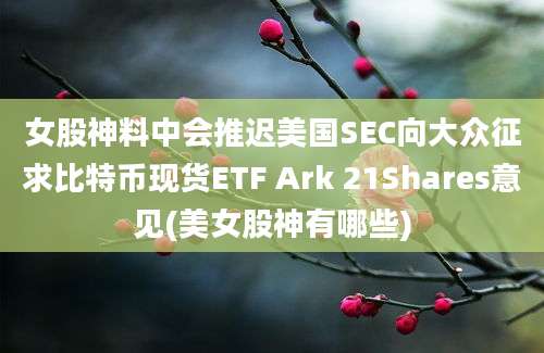 女股神料中会推迟美国SEC向大众征求比特币现货ETF Ark 21Shares意见(美女股神有哪些)