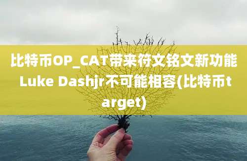 比特币OP_CAT带来符文铭文新功能 Luke Dashjr不可能相容(比特币target)