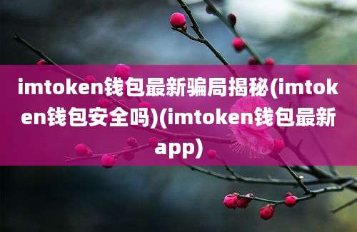 imtoken钱包最新骗局揭秘(imtoken钱包安全吗)(imtoken钱包最新app)