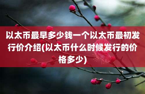 以太币最早多少钱一个以太币最初发行价介绍(以太币什么时候发行的价格多少)