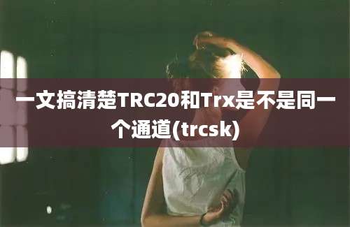 一文搞清楚TRC20和Trx是不是同一个通道(trcsk)