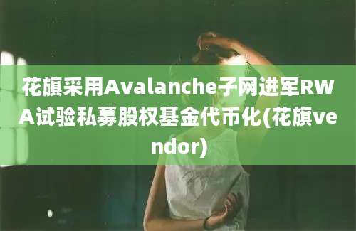 花旗采用Avalanche子网进军RWA试验私募股权基金代币化(花旗vendor)