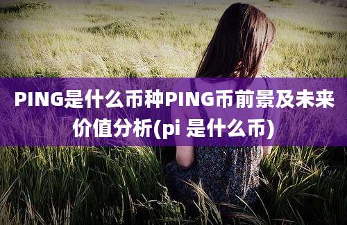 PING是什么币种PING币前景及未来价值分析(pi 是什么币)