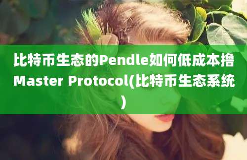 比特币生态的Pendle如何低成本撸Master Protocol(比特币生态系统)