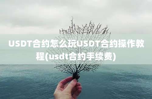 USDT合约怎么玩USDT合约操作教程(usdt合约手续费)