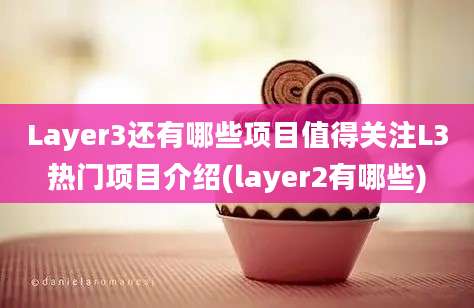 Layer3还有哪些项目值得关注L3热门项目介绍(layer2有哪些)