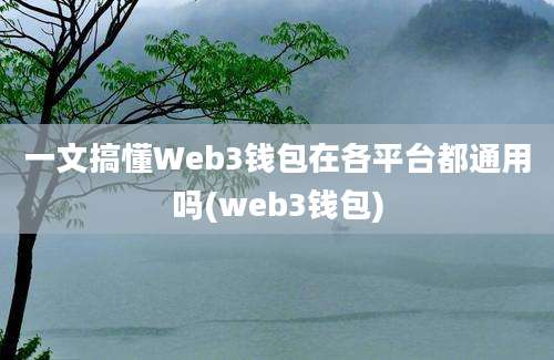 一文搞懂Web3钱包在各平台都通用吗(web3钱包)