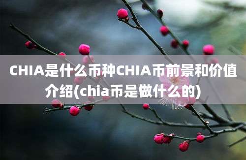 CHIA是什么币种CHIA币前景和价值介绍(chia币是做什么的)