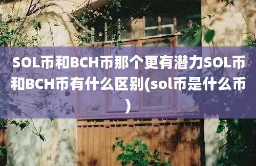 SOL币和BCH币那个更有潜力SOL币和BCH币有什么区别(sol币是什么币)