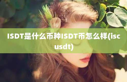 ISDT是什么币种ISDT币怎么样(iscusdt)