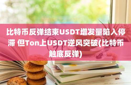 比特币反弹结束USDT增发量陷入停滞 但Ton上USDT逆风突破(比特币触底反弹)