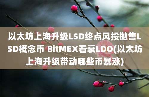 以太坊上海升级LSD终点风投抛售LSD概念币 BitMEX看衰LDO(以太坊上海升级带动哪些币暴涨)