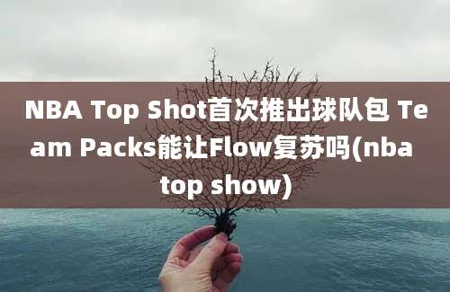 NBA Top Shot首次推出球队包 Team Packs能让Flow复苏吗(nba top show)