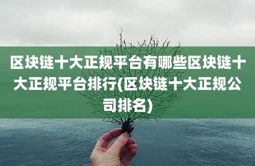 区块链十大正规平台有哪些区块链十大正规平台排行(区块链十大正规公司排名)